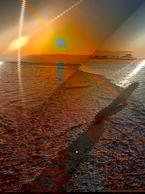 simp_for_cats_ simp_for_cats_ archive image