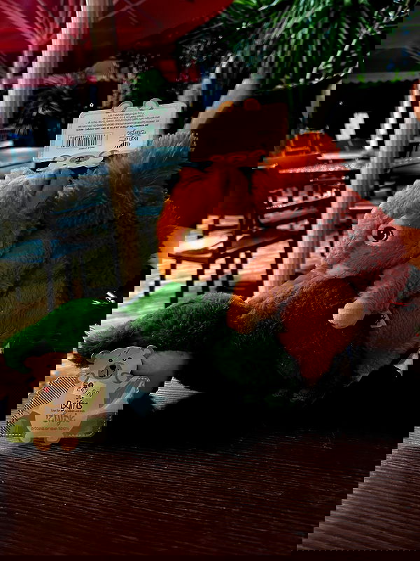 simp_for_cats_ simp_for_cats_ archive image