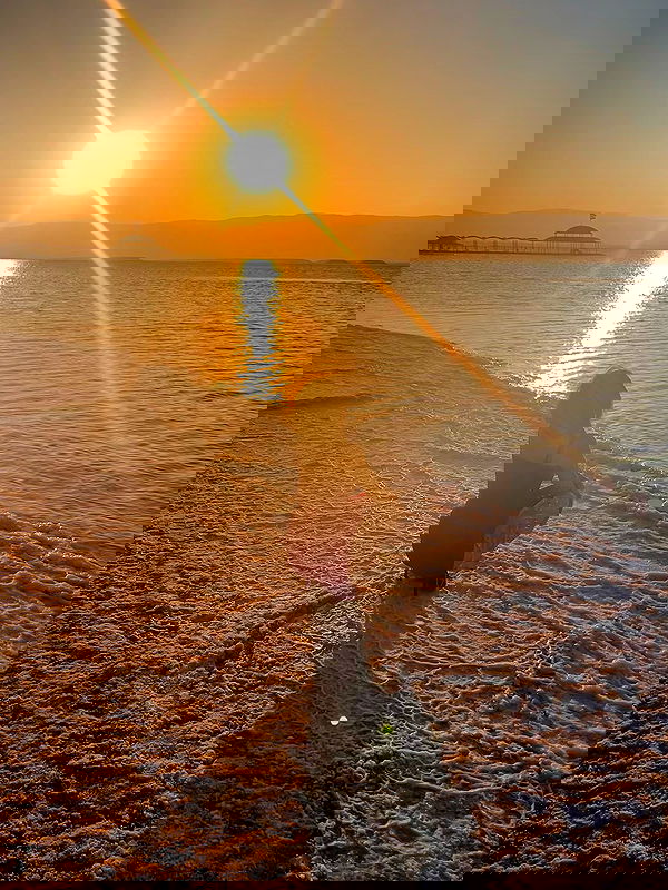 simp_for_cats_ simp_for_cats_ archive image