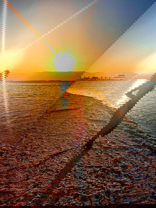 simp_for_cats_ simp_for_cats_ archive image