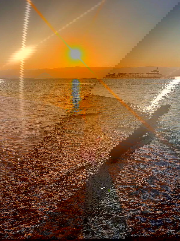 simp_for_cats_ simp_for_cats_ archive image