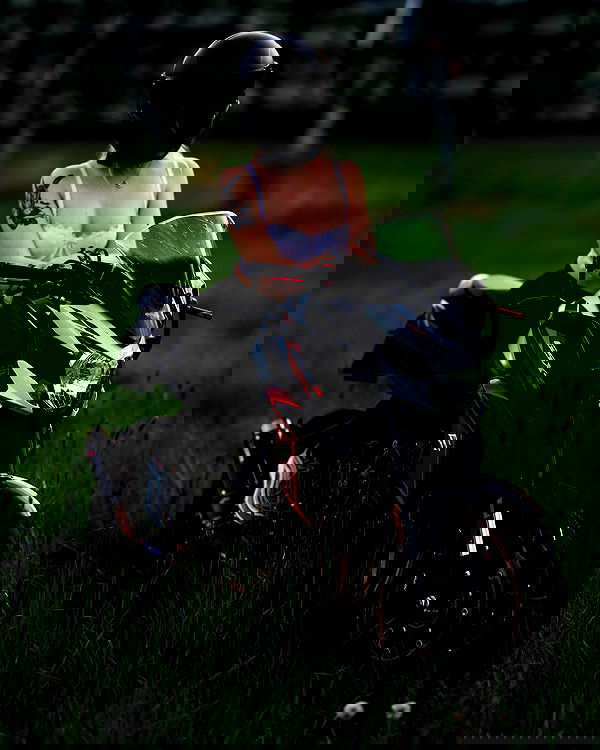 sina.njck sina.njck archive image