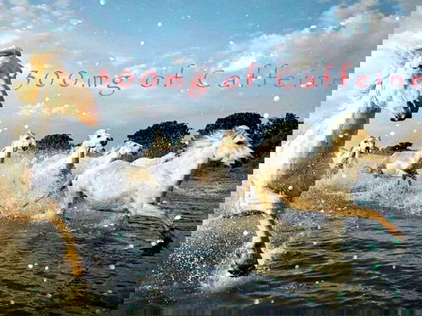 sincerelyjuju sincerelyjuju archive image