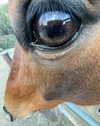 sins_n_stuff Altpins Profile Picture