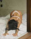 sirenamag Altpins Profile Picture