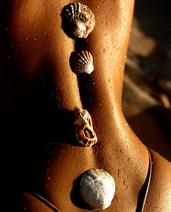 sirenamag instagram image archive image