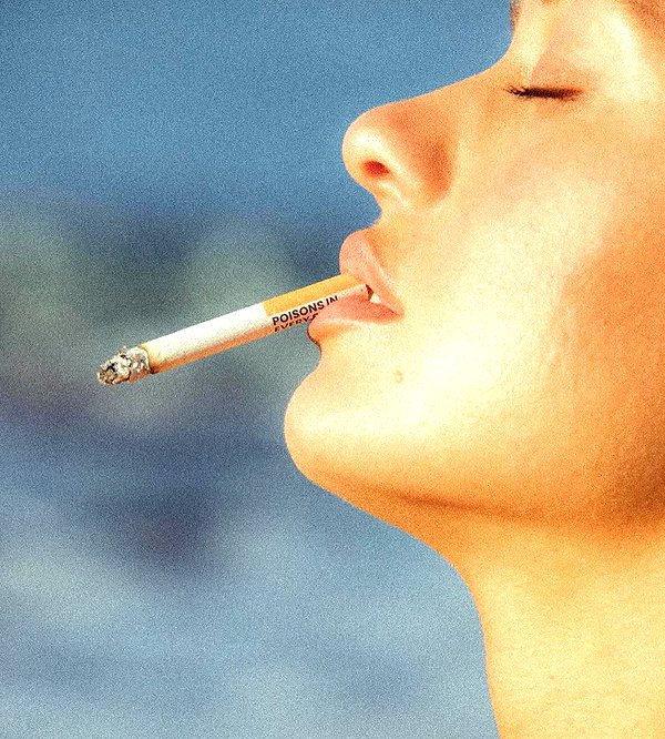 sirenamag instagram image archive image