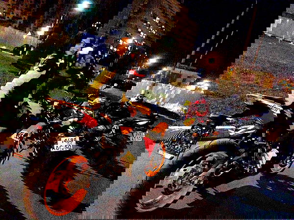 siyamore_ image ~ Altpins