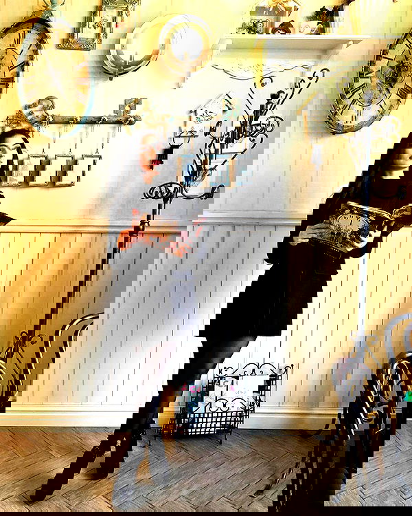 siyamore_ image ~ Altpins