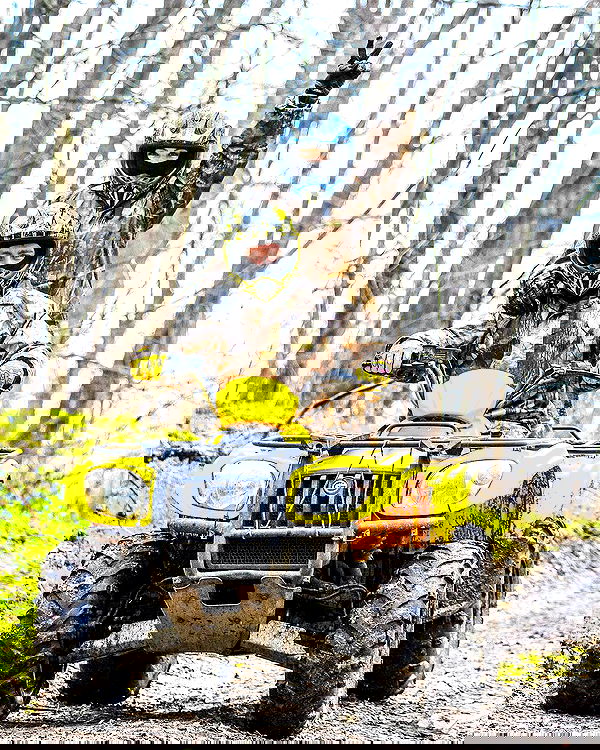 siyamore_ image ~ Altpins