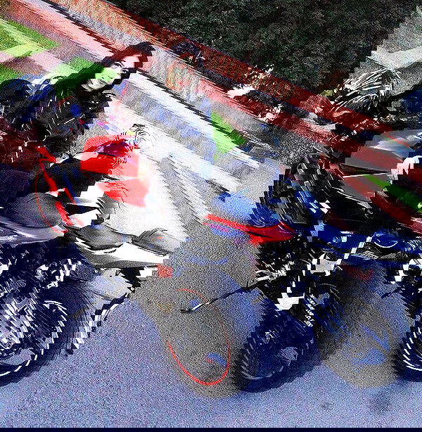 siyamore_ image ~ Altpins