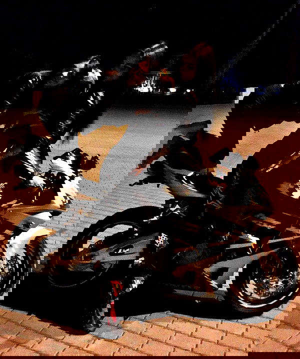 siyamore_ image ~ Altpins