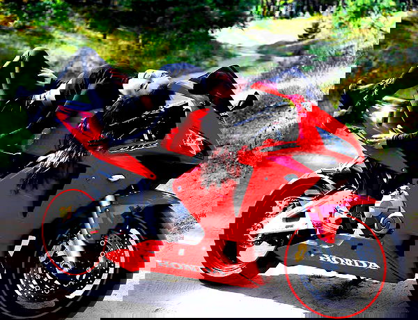 siyamore_ image ~ Altpins