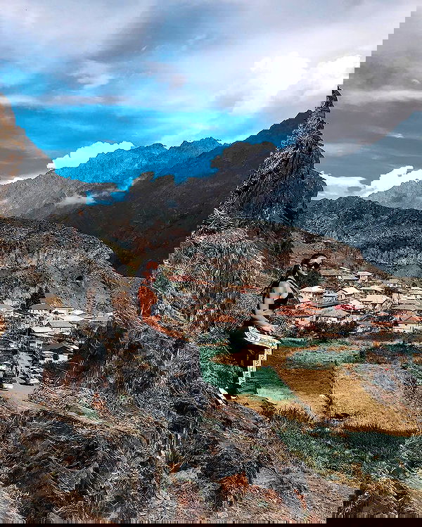 siyamore_ image ~ Altpins