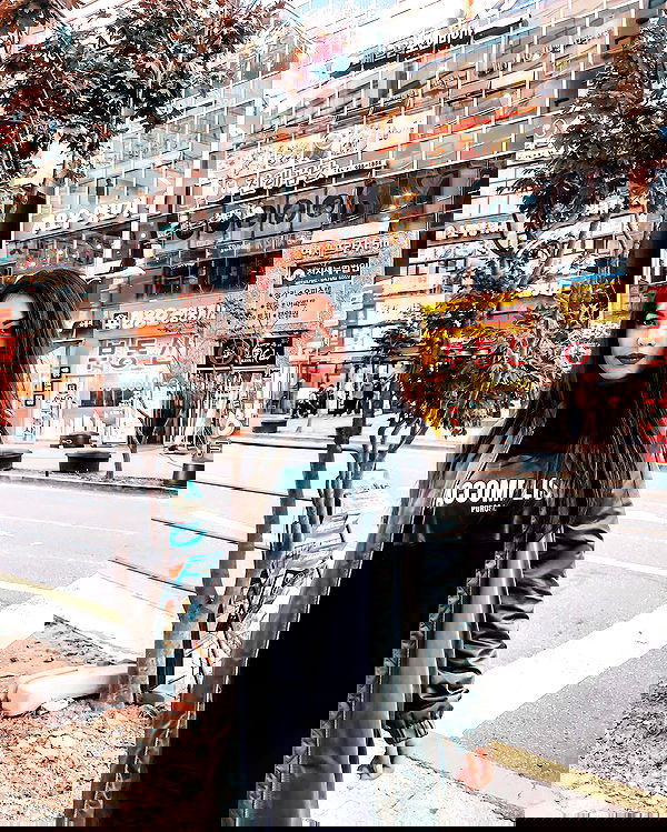 siyamore_ image ~ Altpins