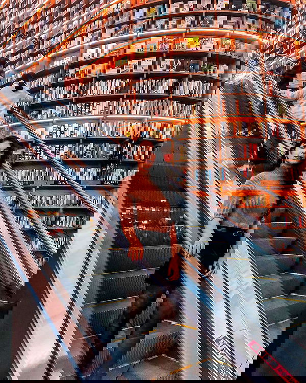 siyamore_ image ~ Altpins