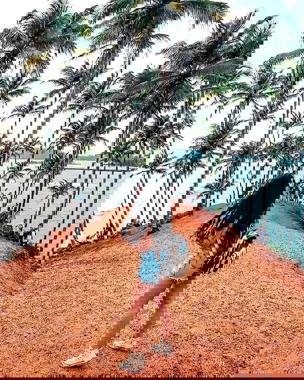 siyamore_ image ~ Altpins