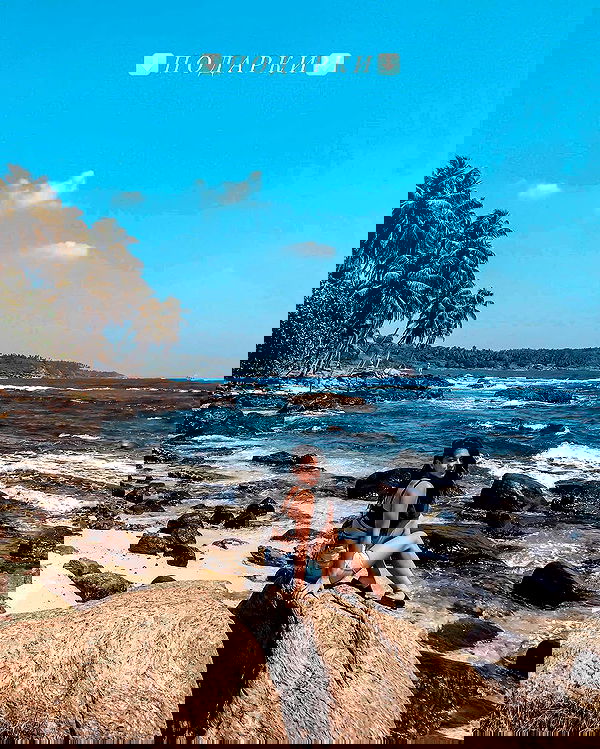 siyamore_ image ~ Altpins