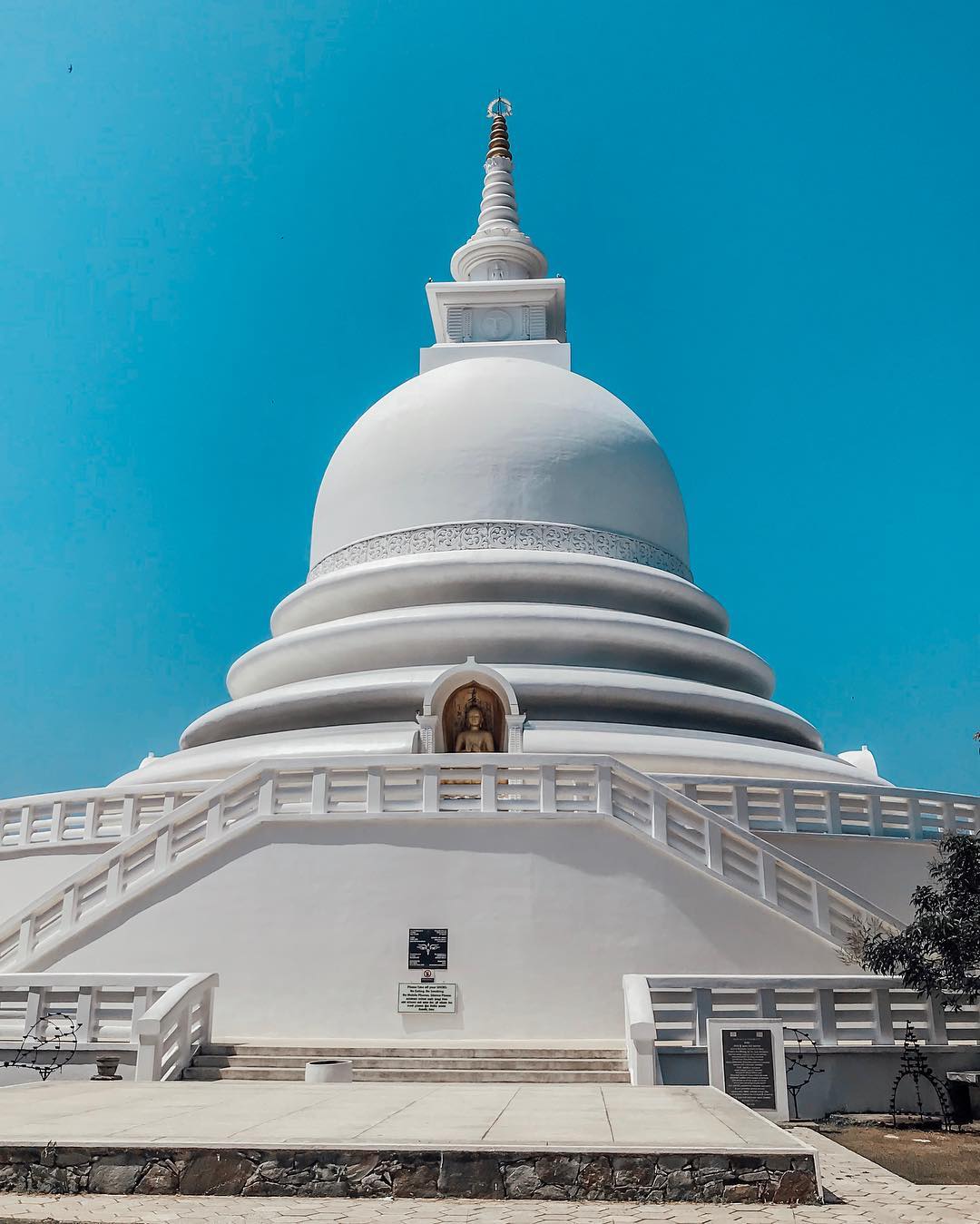 siyamore_ instagram image archive image