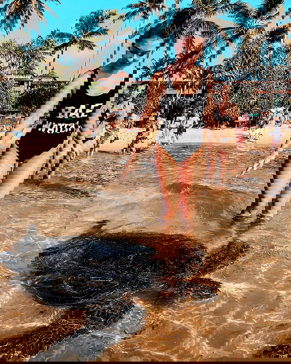 siyamore_ image ~ Altpins