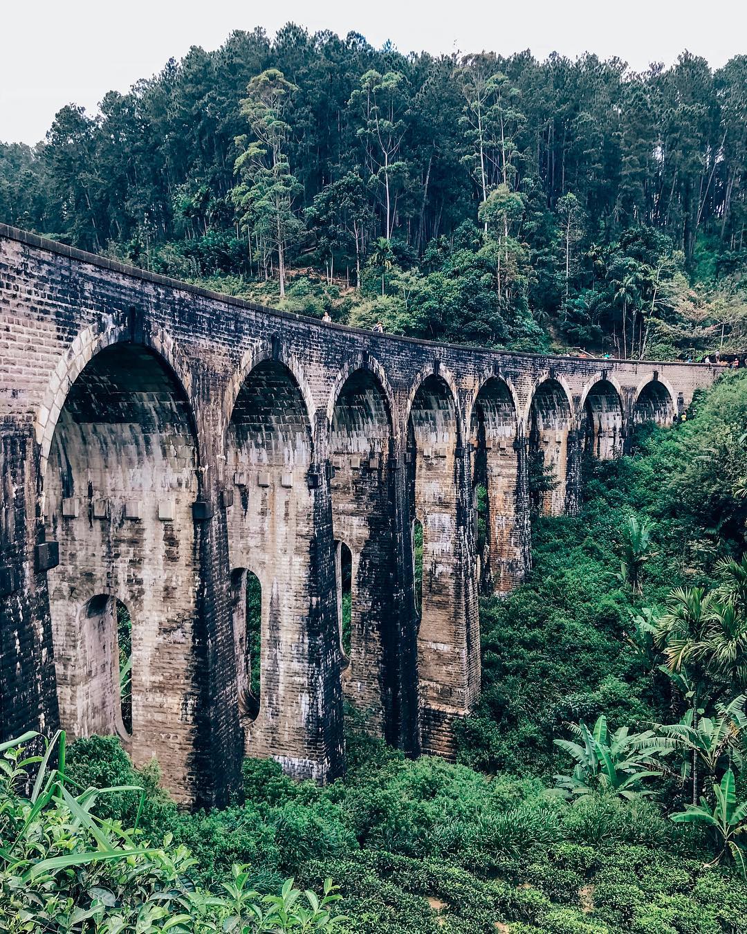 siyamore_ instagram image archive image