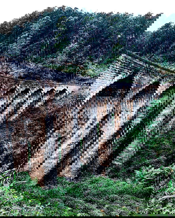 siyamore_ image ~ Altpins