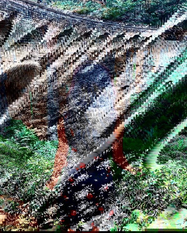 siyamore_ image ~ Altpins