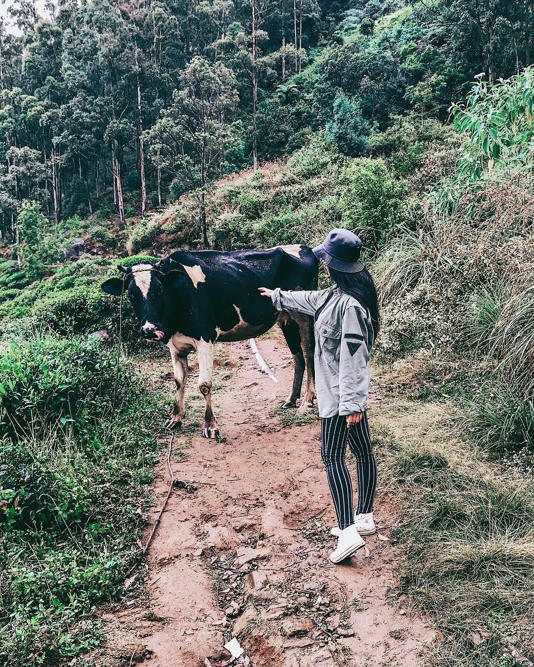 siyamore_ instagram image archive image