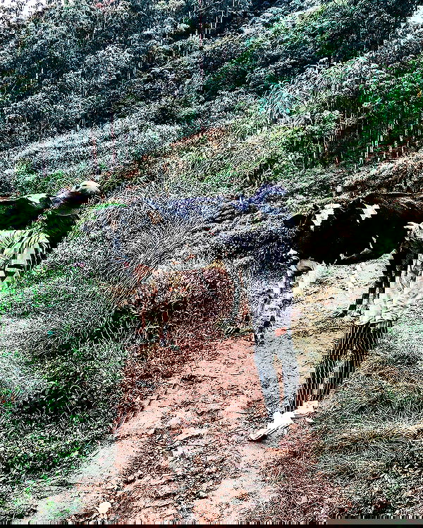 siyamore_ image ~ Altpins