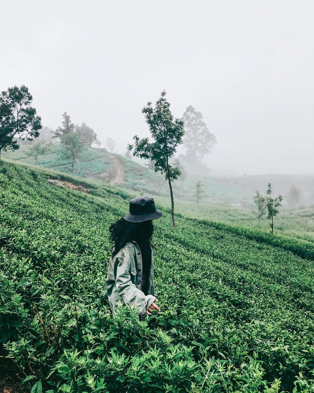 siyamore_ instagram image archive image