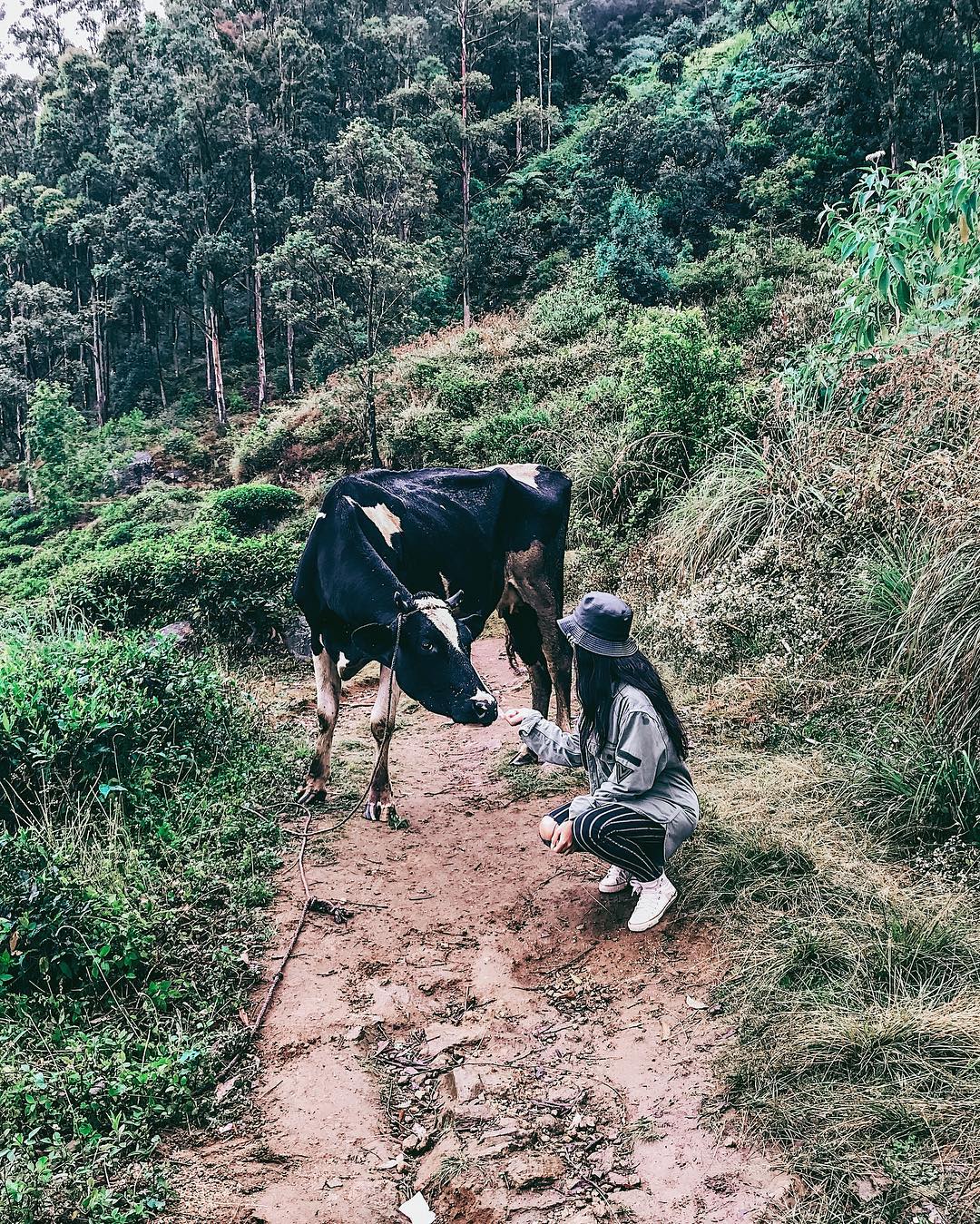 siyamore_ instagram image archive image