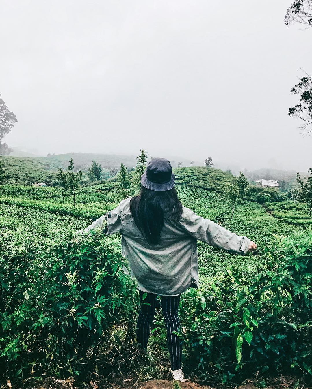 siyamore_ instagram image archive image