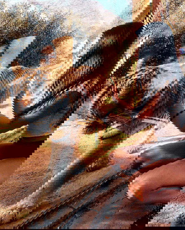 siyamore_ image ~ Altpins