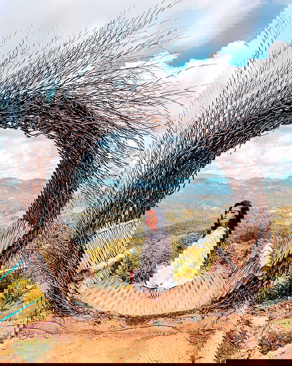 siyamore_ image ~ Altpins