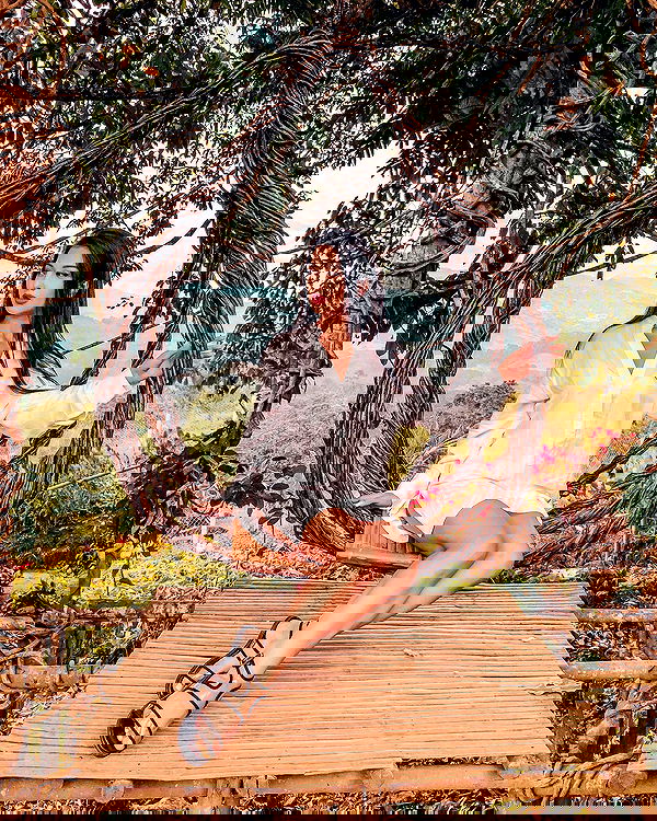 siyamore_ image ~ Altpins