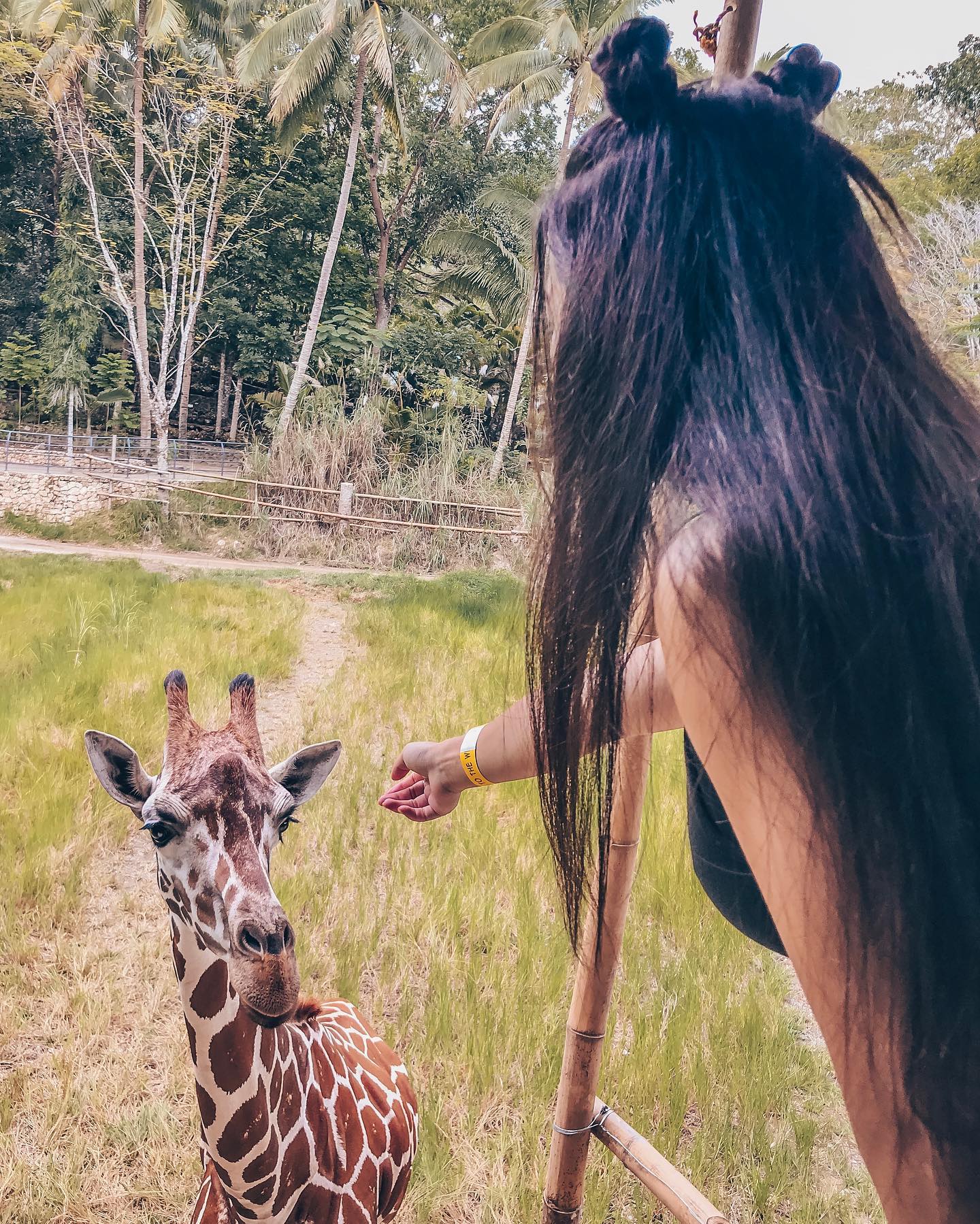 siyamore_ instagram image archive image