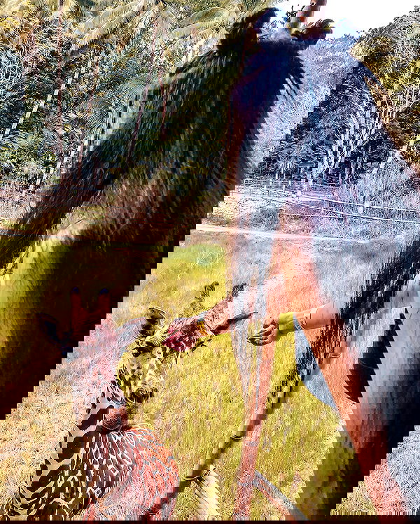 siyamore_ image ~ Altpins