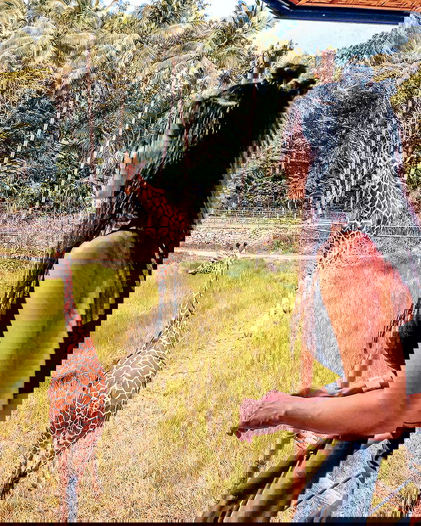 siyamore_ image ~ Altpins