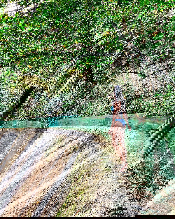 siyamore_ image ~ Altpins