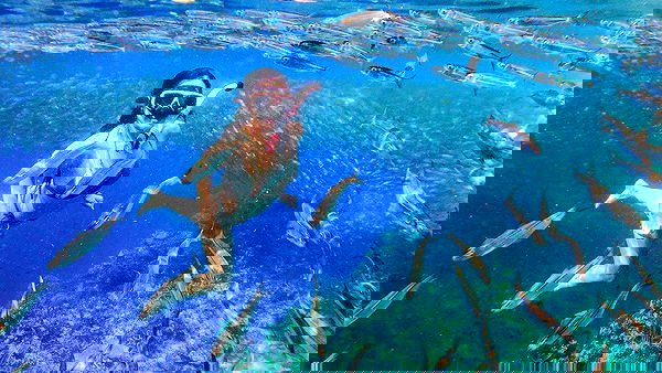 siyamore_ image ~ Altpins