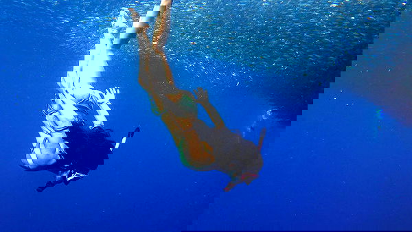 siyamore_ image ~ Altpins