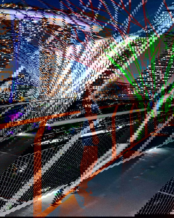 siyamore_ image ~ Altpins