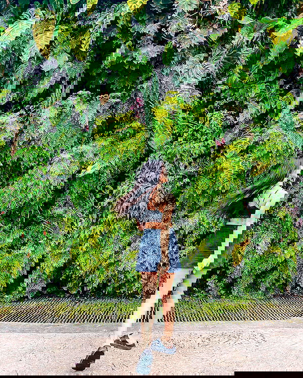 siyamore_ image ~ Altpins