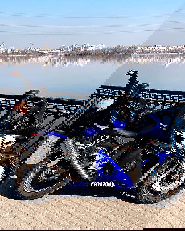 siyamore_ image ~ Altpins