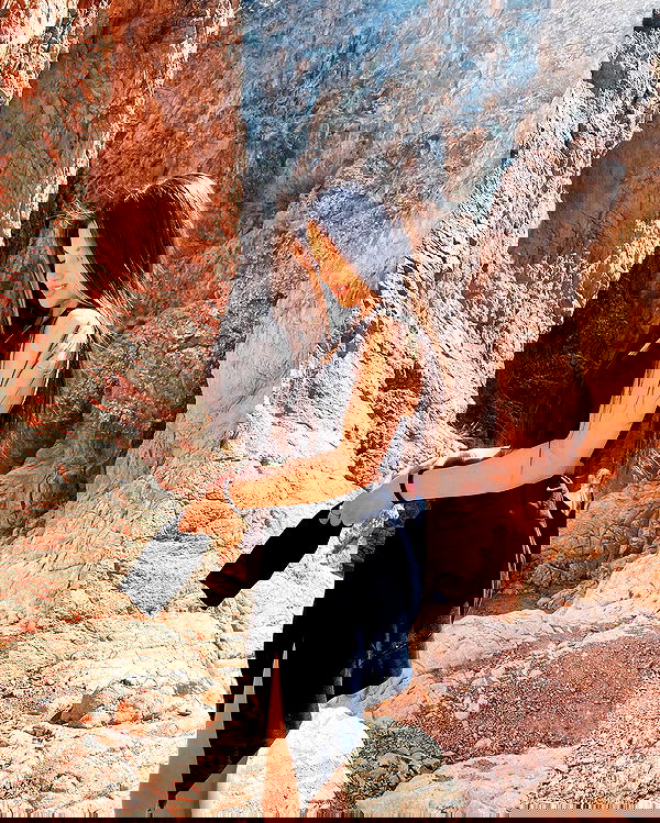 siyamore_ image ~ Altpins