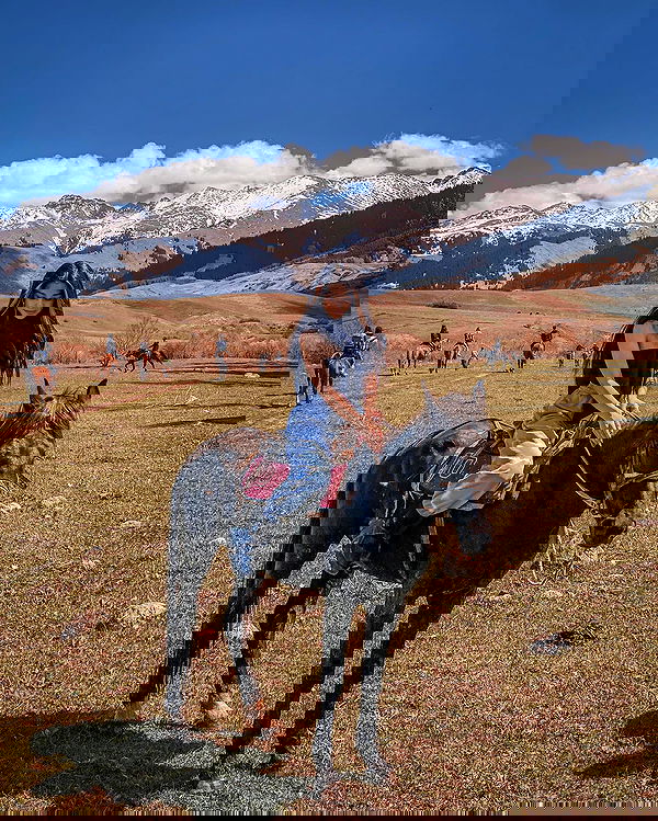 siyamore_ image ~ Altpins