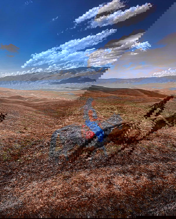 siyamore_ image ~ Altpins