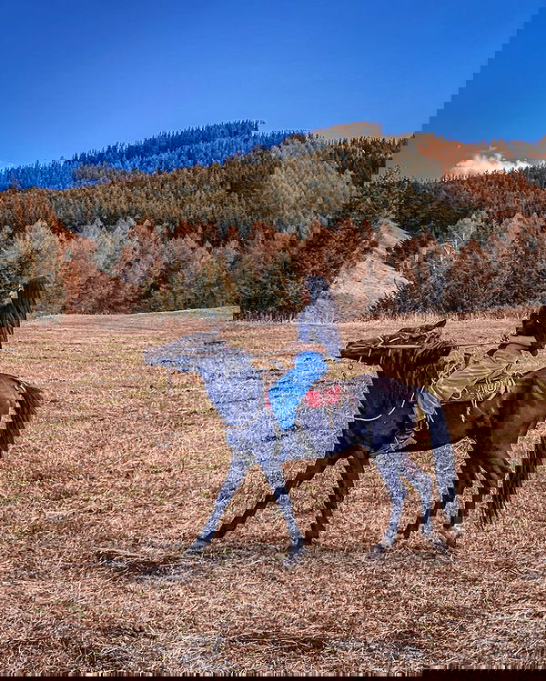 siyamore_ image ~ Altpins