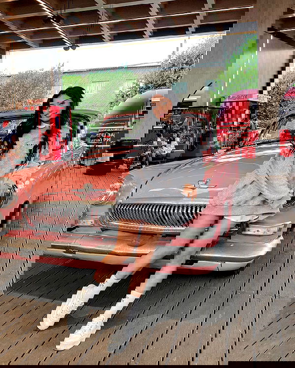 siyamore_ image ~ Altpins