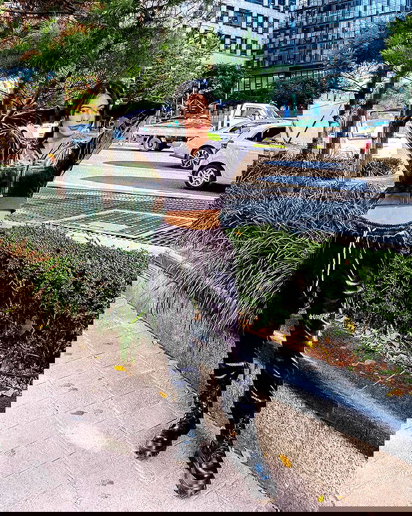 siyamore_ image ~ Altpins